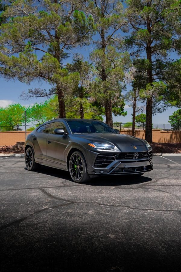 Lamborghini Urus - Image 12